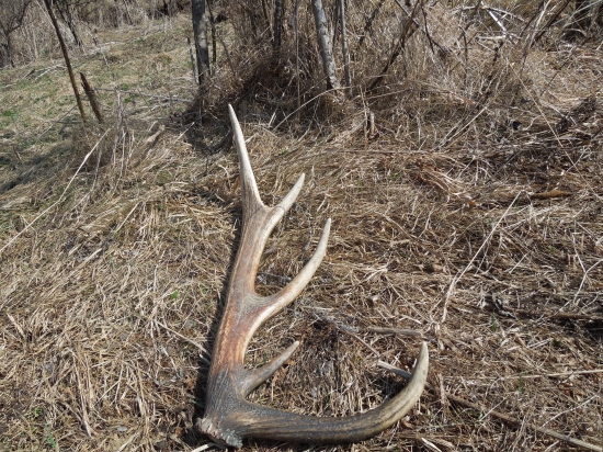 10 torák Zhodený v bahnisku