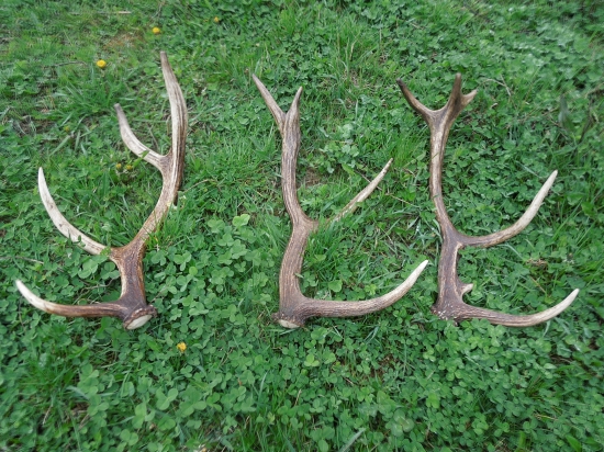 Dnešné upršané ráno