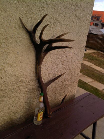 ... Takýto treba aj zapiť ...