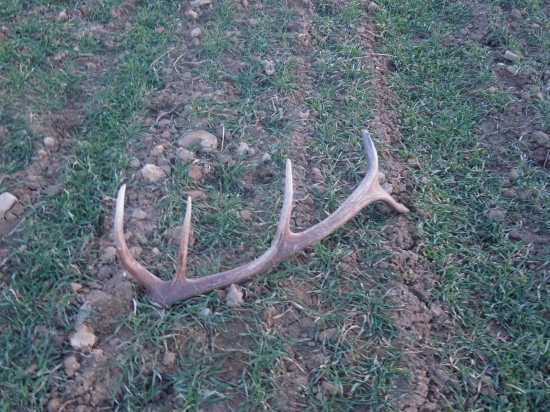 Spomienka na sezonu 2014