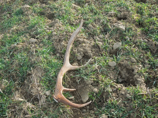 Spomienka na sezonu 2014