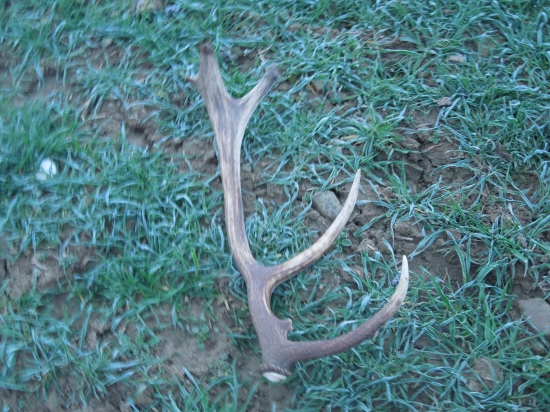 Spomienka na sezonu 2014