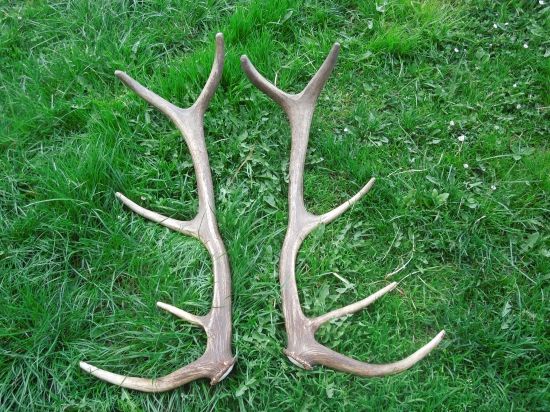 Spomienka na sezonu 2014