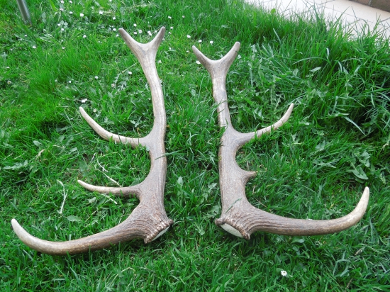 Spomienka na sezonu 2014