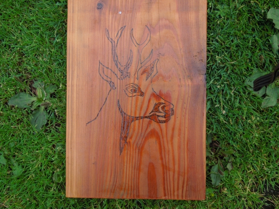 Môj vypalený srnec :)