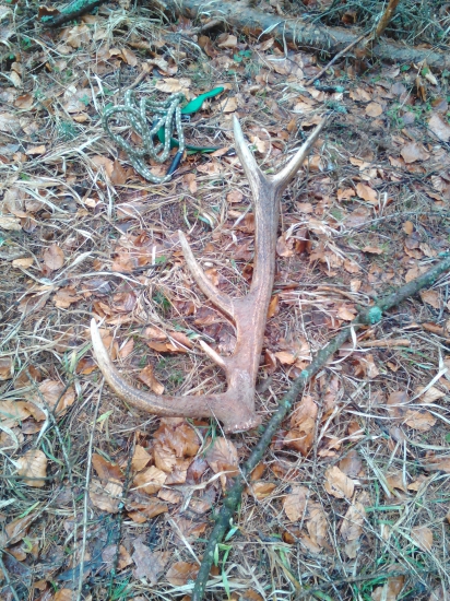 Dnešný a konečné čerstvy