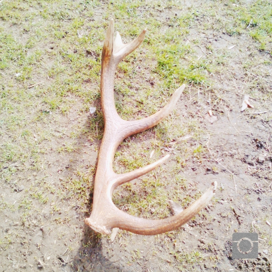 Ďaľši do zbierky...