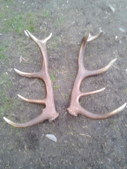 Druha para tohto roku ..