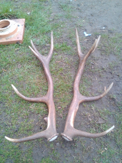 Takto krásne spolu...