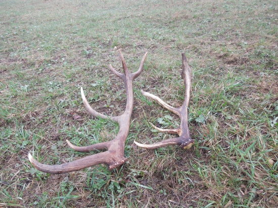 Dnešná prechádzka :)