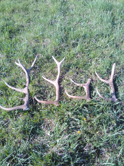 Dnes sa mne a ocovi darilo :)