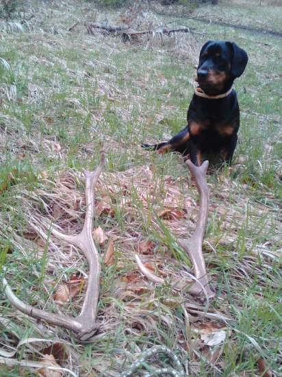 Po dlhšom čase sa zase zadarilo