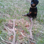 Po dlhšom čase sa zase zadarilo