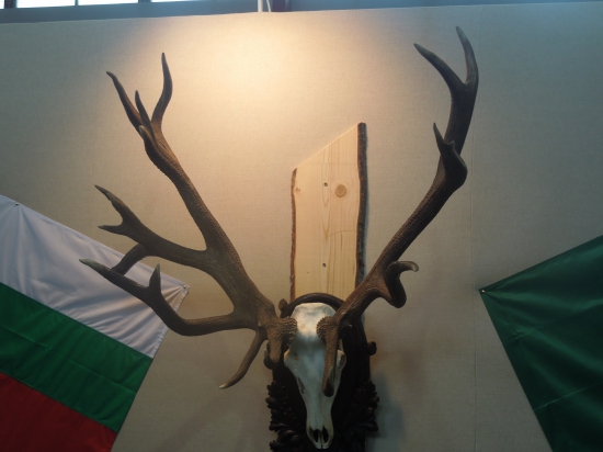 Celoštátna výstava v Nitre 2016