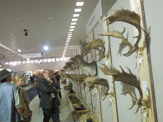 Celoštátna výstava v Nitre 2016