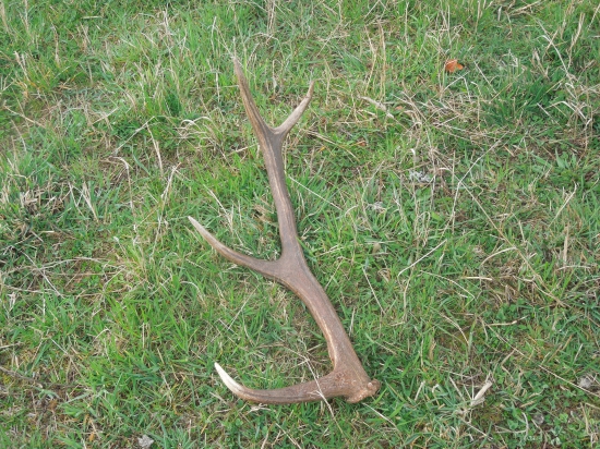 Už hned to začne...