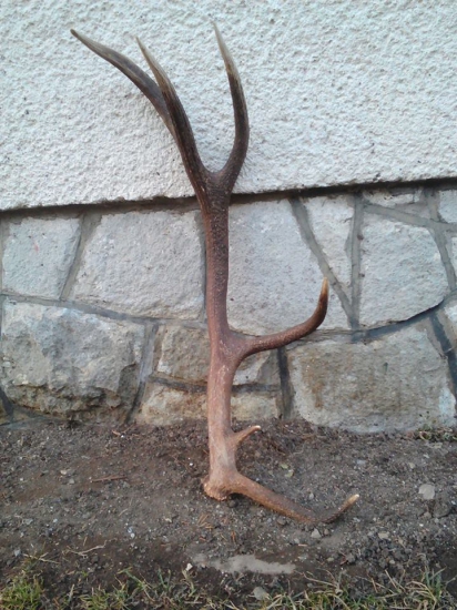 Môj druhý tohto roku (Iný pohľad)