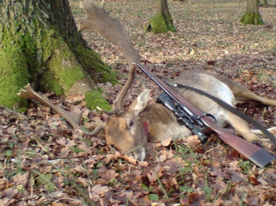 můj nejlepší 172 CIC