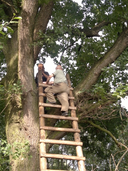 kontrola hospodáře