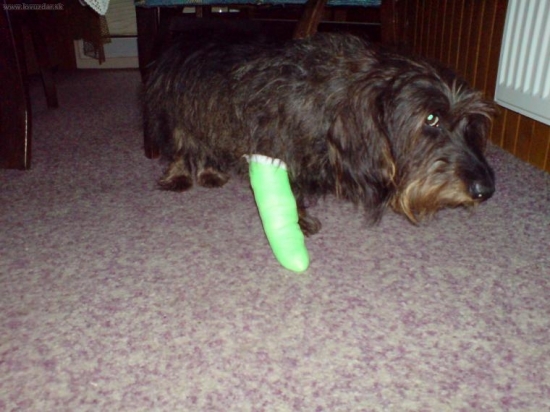 marod-vylomený dráp i s lůžkem