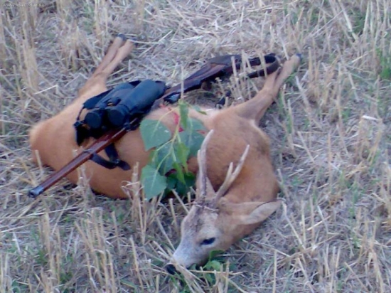 Zdendova loňská II.vt