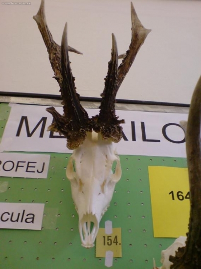 nejsilnější okresu Kroměříž 164,9 CIC