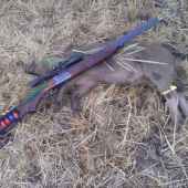 začalo to dohladávkou