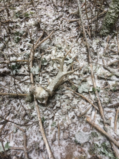 Vydarená Prechádzka