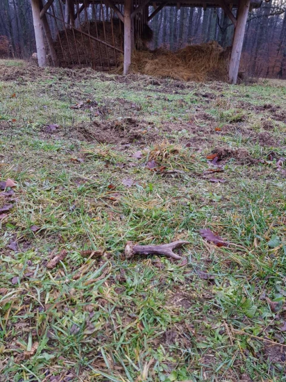 Keď nehladáš a nájdeš :))