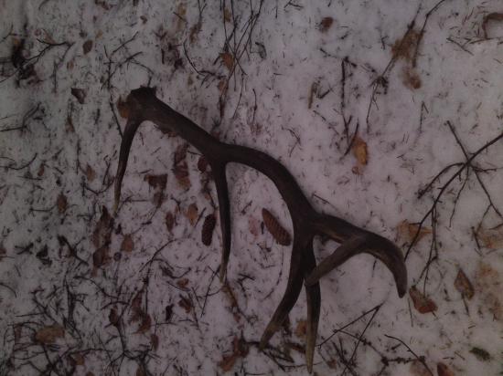 z kategorie este teplych