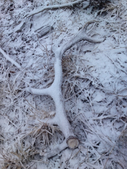 v sobotu nasnezilo :)