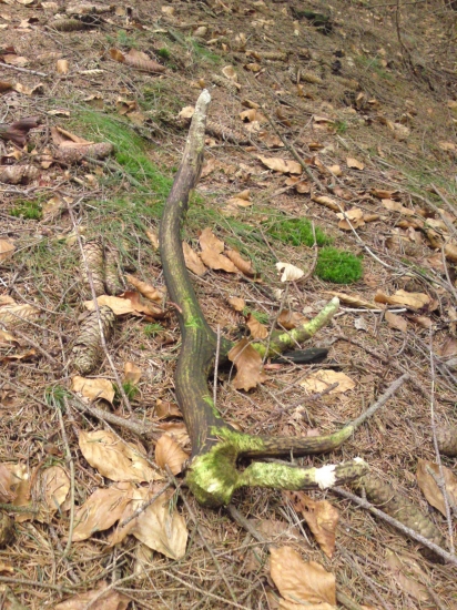 ten uz tiez nieco pamata...