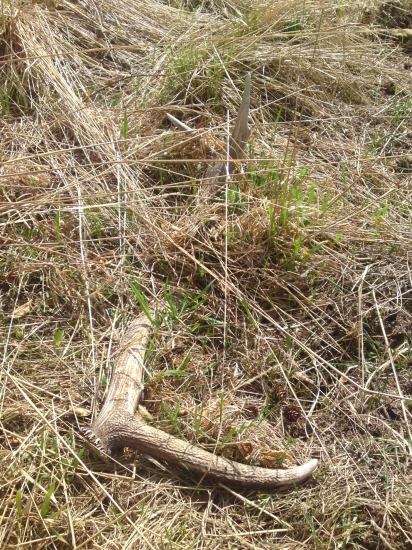 meter od cisteneho chodnika