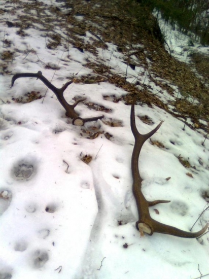 stary pan z trenkoch