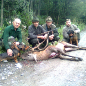 jelen zo zamosiatrov