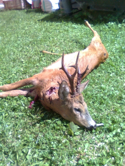 zrazeny a nasledne dostreleny