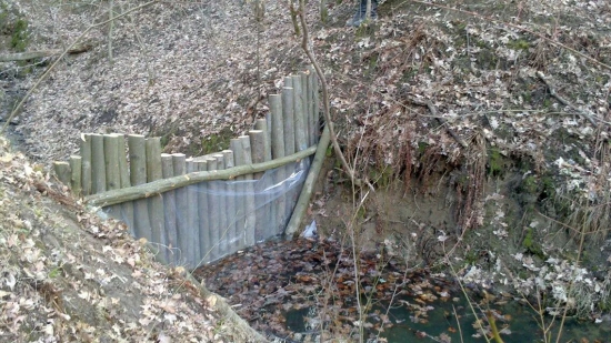 Napájadlo pre zver v starom potôčku