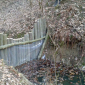 Napájadlo pre zver v starom potôčku