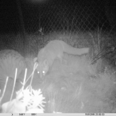 Nevšedné kamarátstvo :-)