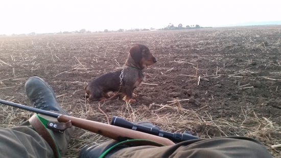 Biba Gaderská dolina