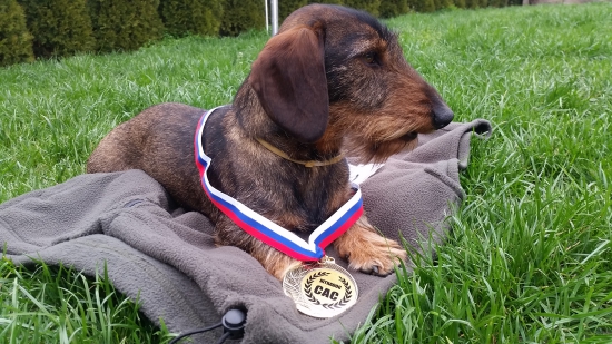 Mvp Nitra