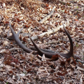 10-torák spiatočnik