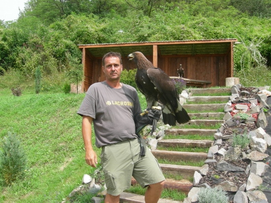 samica 2010