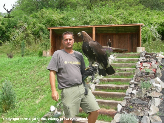 samica 2010