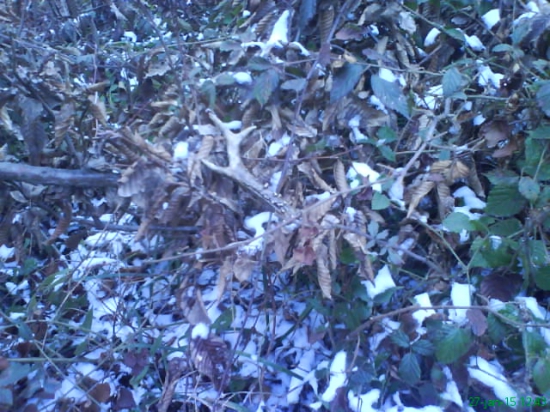 Manželkyn prvy toho roku