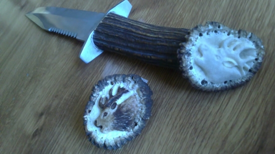 vymenil som drevo za kosť...