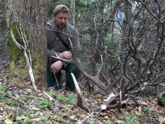 aj taká vie byť príroda...