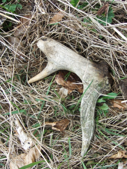 aj taký sa podarí...