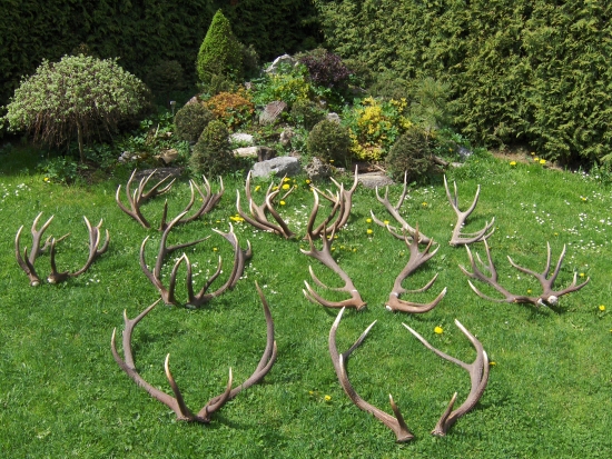 koruny králov hôr...