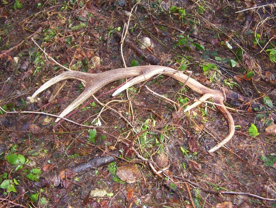 na tretie slušný...